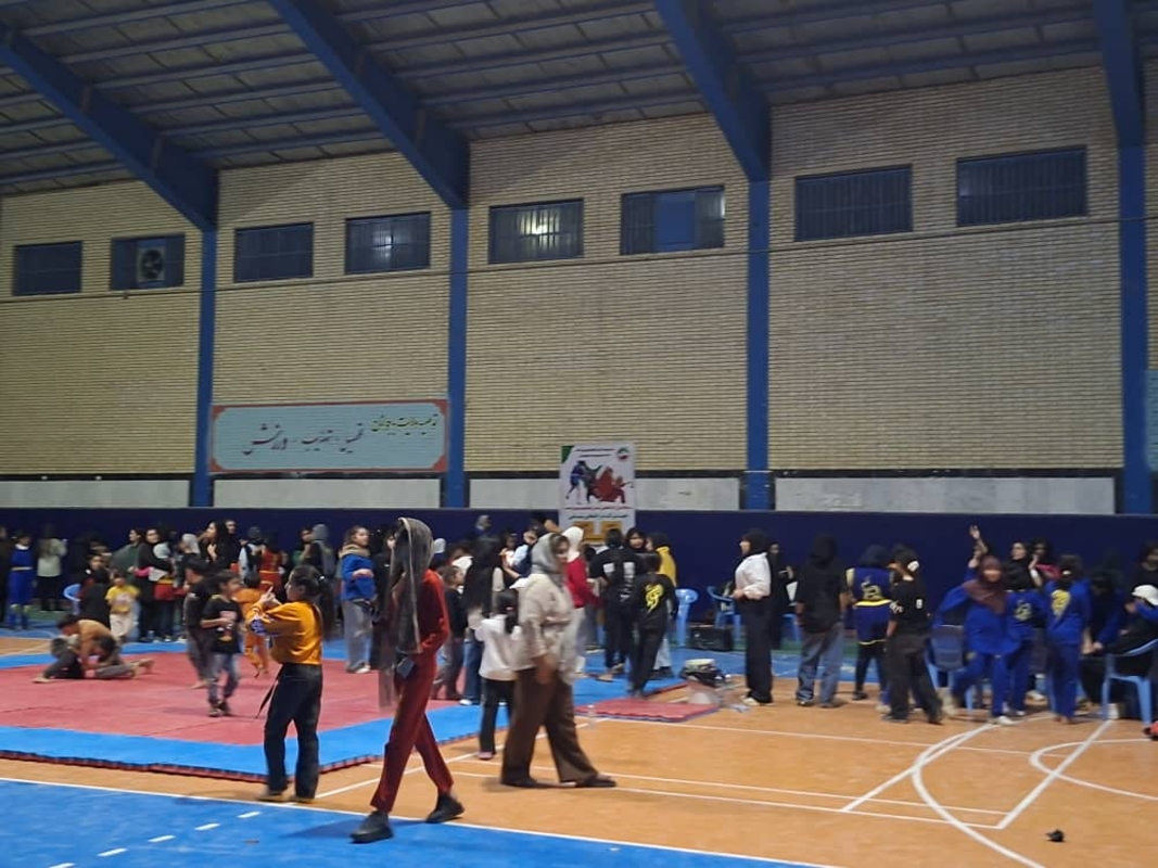 هیئت ووشوشهرستان بهمئی خبرداد