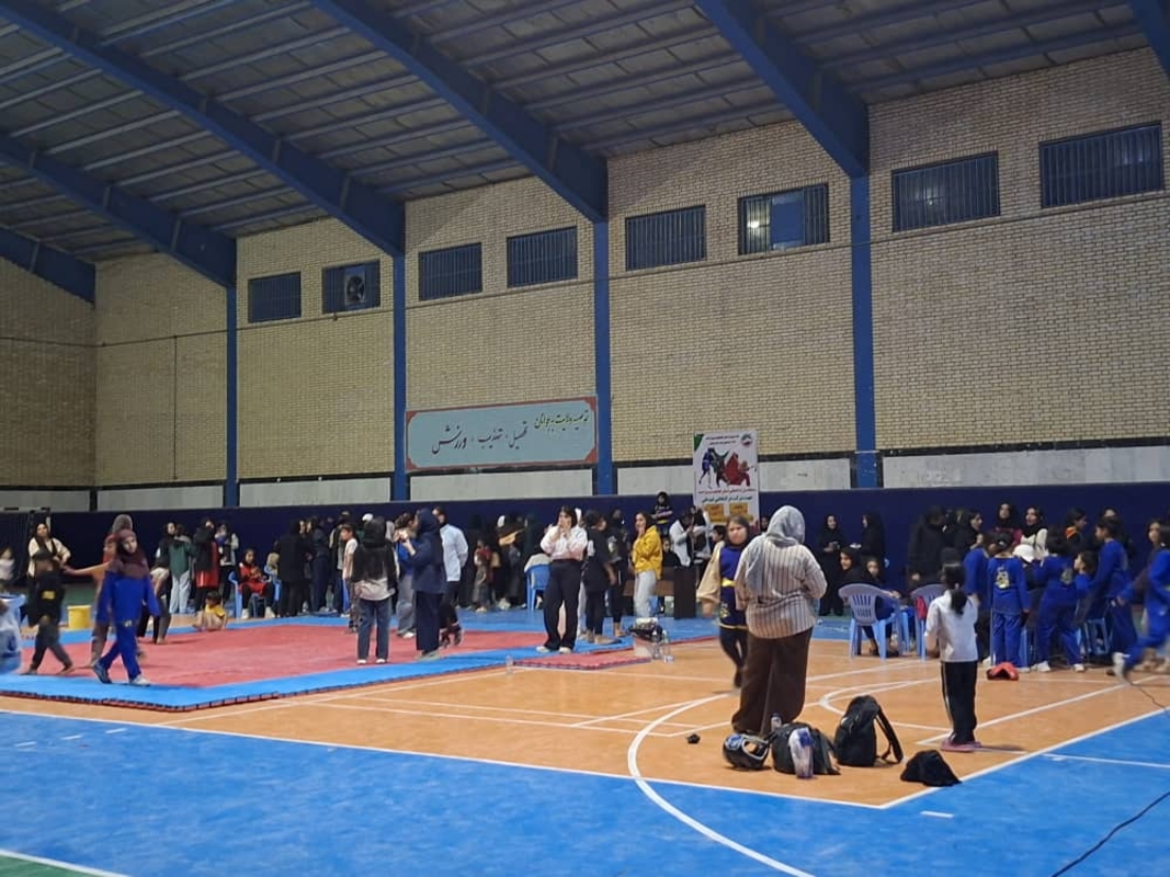 هیئت ووشوشهرستان بهمئی خبرداد